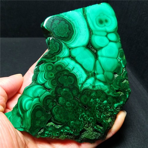 AAA 288,5G Pera Malachite Lucida Naturale Cabochon Gemma Congo Africa YWD111 - Foto 2 di 12