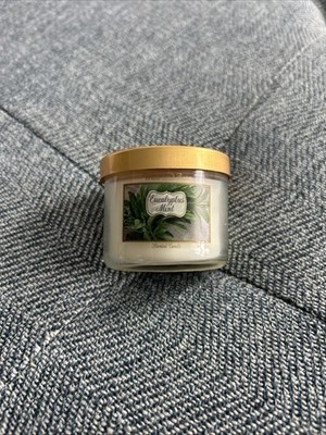 BATH & BODY WORKS TRAVEL MINI CANDLE Eucalyptus Mint 1.3OZ White Barn