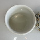 Picture 4 of 15