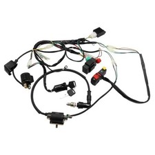 Complete Electric Start Engine Wiring Harness Loom for 50cc 70cc 90cc 110cc