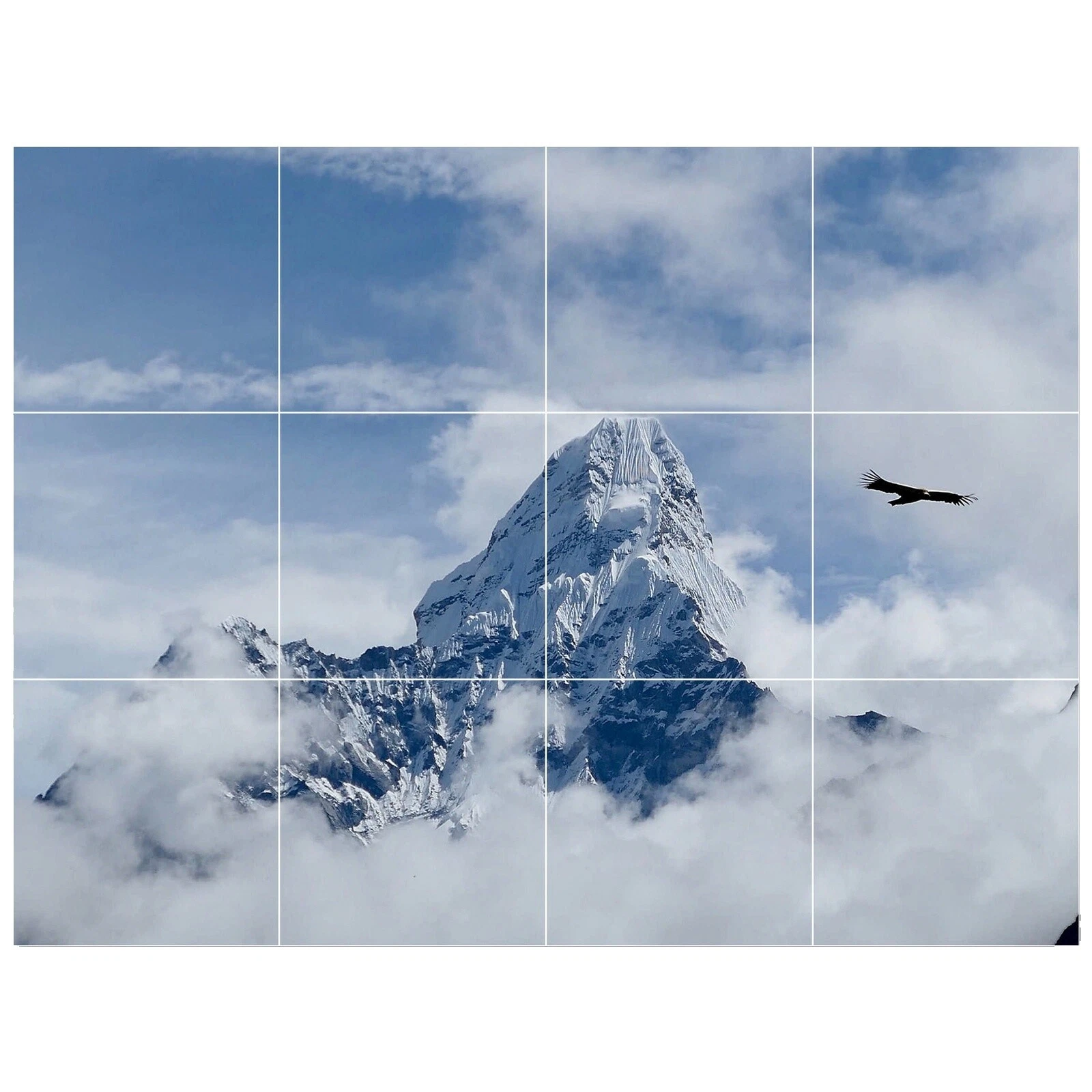 Ceramic Square Floor & Wall Tiles