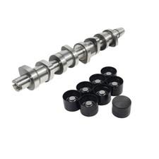 Albero a camme + 8x pestelli valvole 1.9 TDI VW Golf Passat Touran Sharan T5 038109101R
