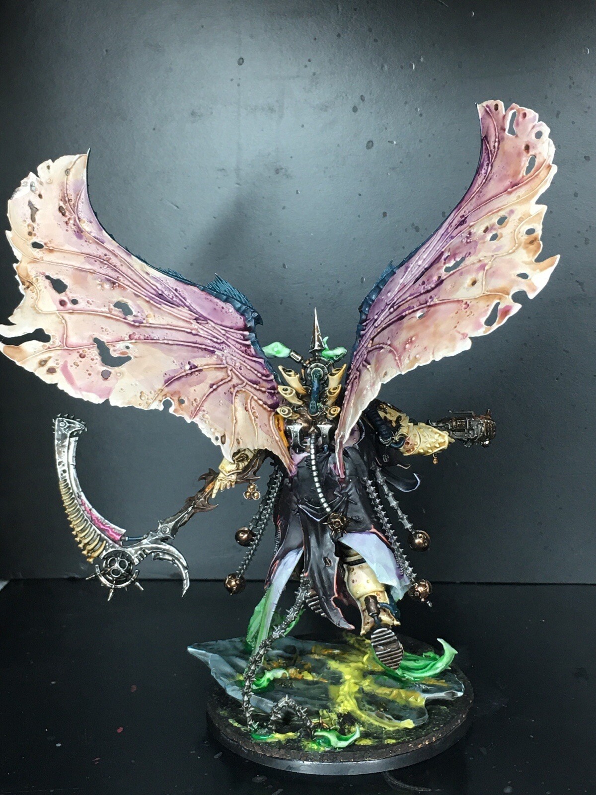Picture 7 of 21