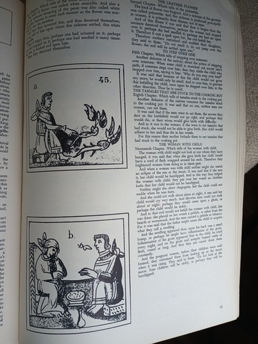 La Medicina Primitive En Mexico Artes De Mexico 1970 Number 135 Rare Book. - Picture 5 of 13
