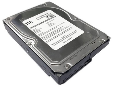 WL 3TB 7200RPM 64MB Cache SATA 6.0Gb/s 3.5'' Desktop Hard Drive (For Server, R...