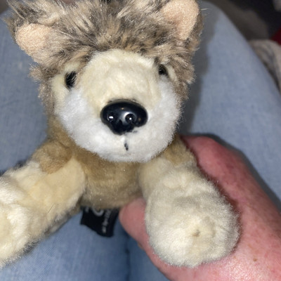 Arche Toys kleiner süßer Plüschhund Stofftier Kuscheltier 31