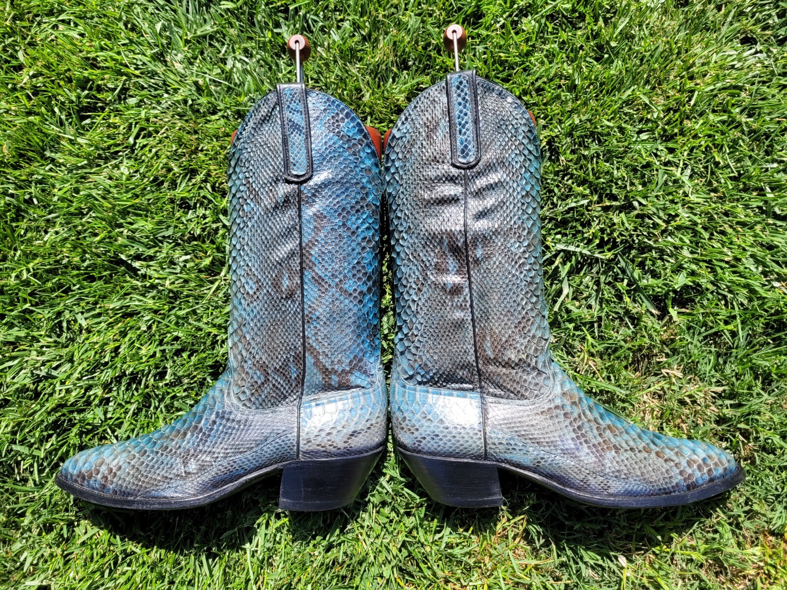 10.5 D ⭐ ANDERSON BEAN ⭐ BLUE ⭐ PYTHON ⭐ SNAKE ⭐ … - image 7