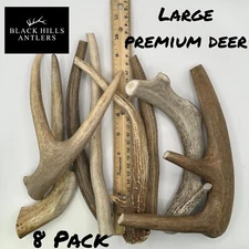 Large Premium Deer Antler Dog chew 8 Pack