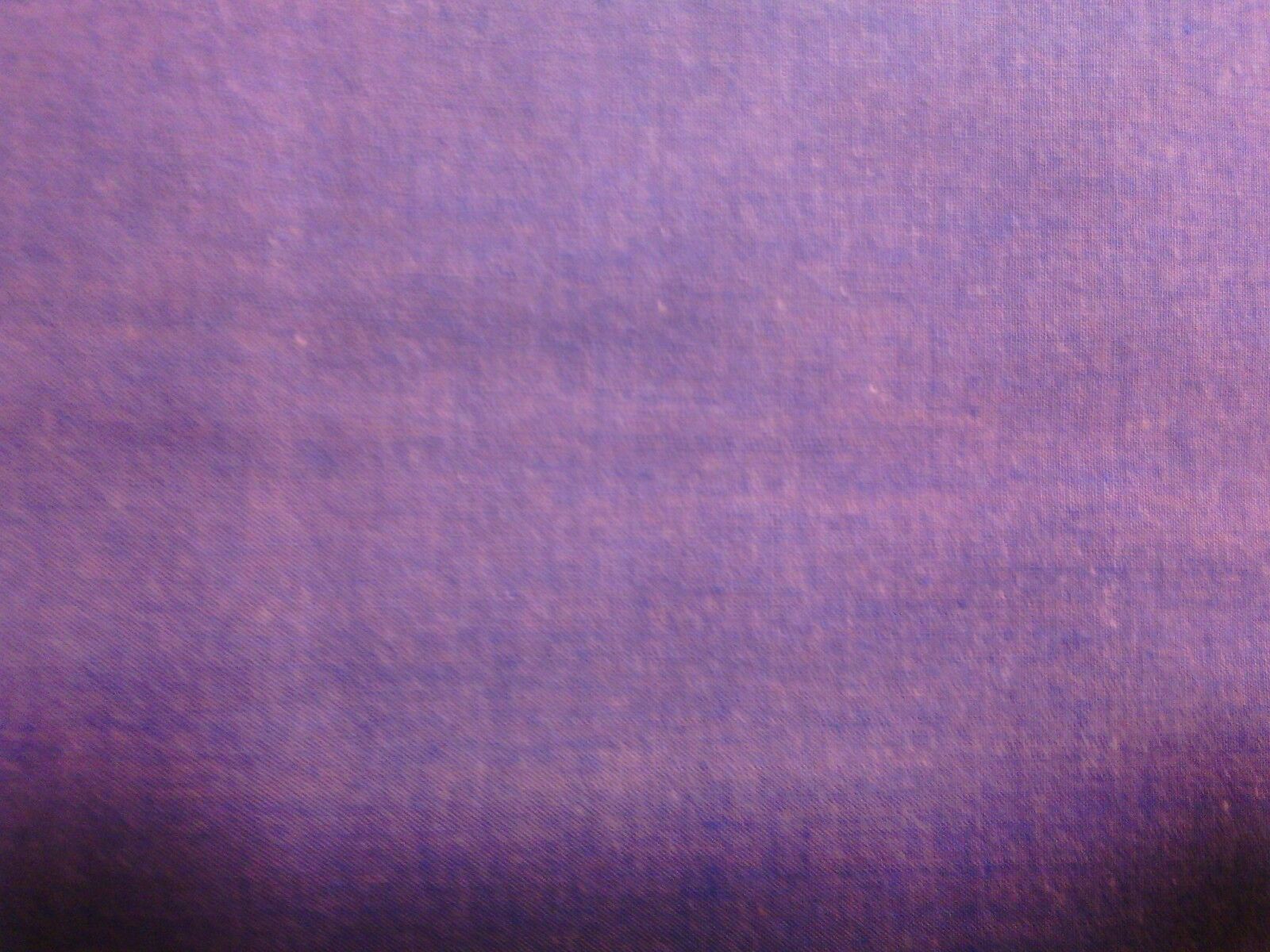 Foto 2 di 4