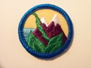Girl Scout Junior Badge Swimming Patch Vintage Water