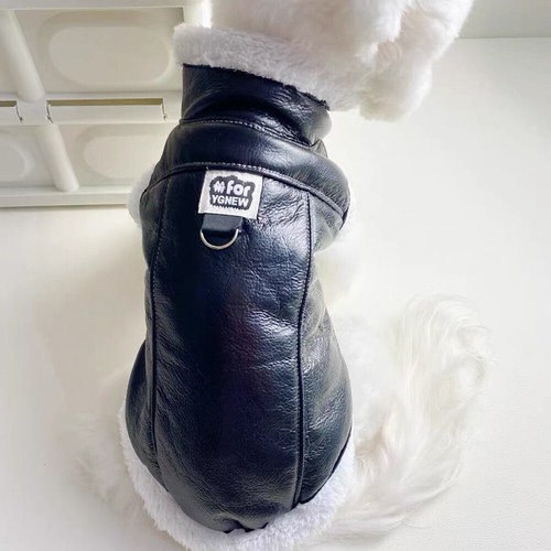 Chaqueta de cuero Fart Dog invierno caliente Chihuahua cachorros Reino Unido chaqueta de cuero 18 - Imagen 12 de 19
