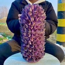 29.29LB Nuevo Encontrar Púrpura Fantasma Cuarzo Cristal Racimo Mineral Espécimen Sanación