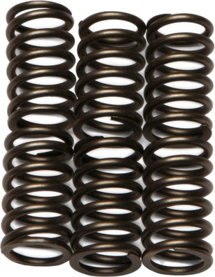 にーに EBC CSK88 CSK Clutch Spring Kit 26-8015 1131-1091 15-1788