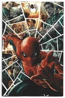 Amazing Spider-Man #11 1:100 Lee Bermejo Amazing Visions Virgin Variant 2025