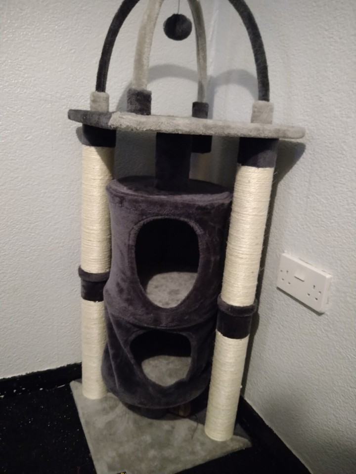 cat scratching post activity centre eBay