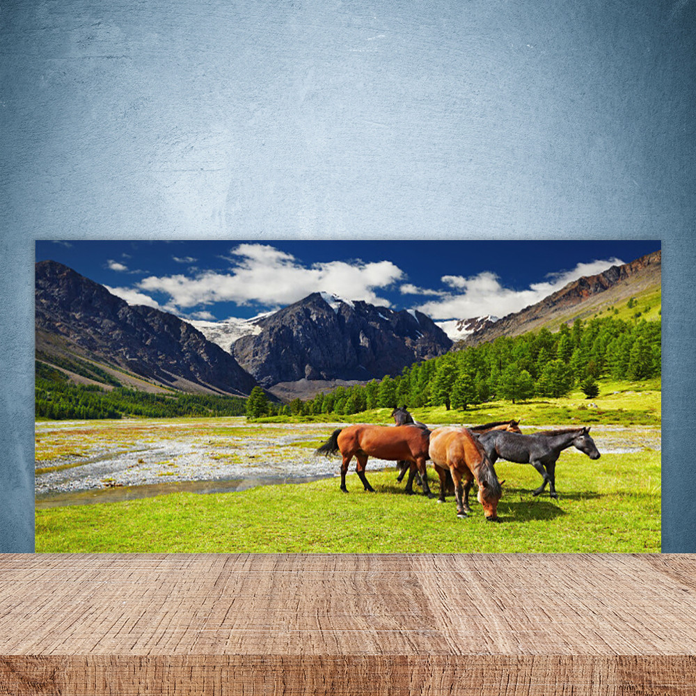 Crédence de cuisine en verre imprimé 100x50 cm fond de hotte motif animaux montagnes cheval