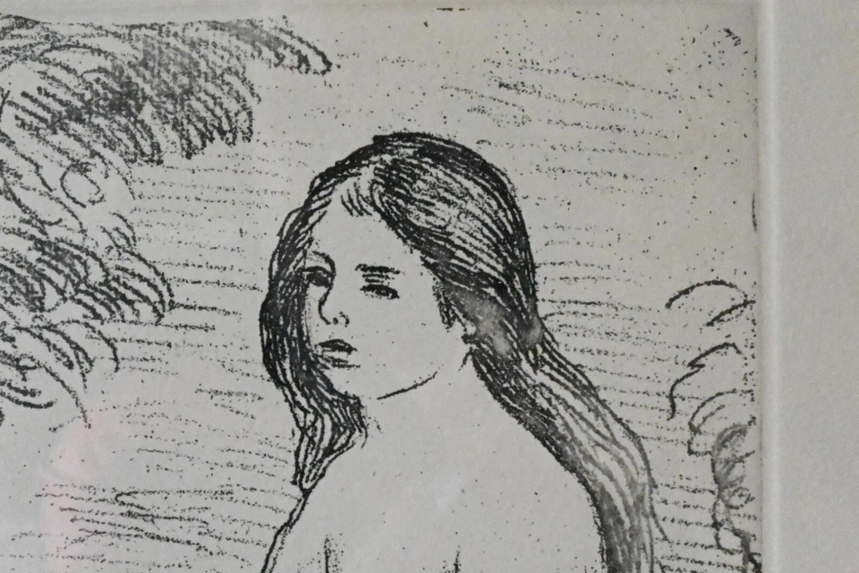 Bellas Artes PIERRE AUGUSTE RENOIR Grabado Impresión Enmarcada Certificado de Autenticidad  Foto 3 de 4