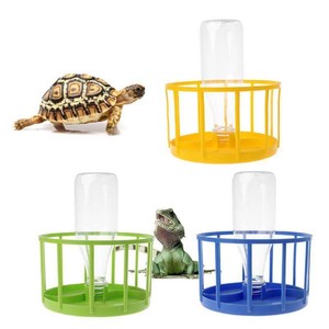 tortoise feeder