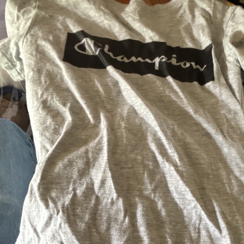 Champion Men’s Gray Graphic Logo Crew Neck Short Sleeve T-Shirt Size S
