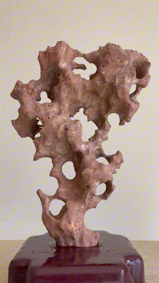 stone.dz.ayuさん11-29-5 Chinese Scholar Rock Taihu stone Suiseki Zen wood Base Art Home