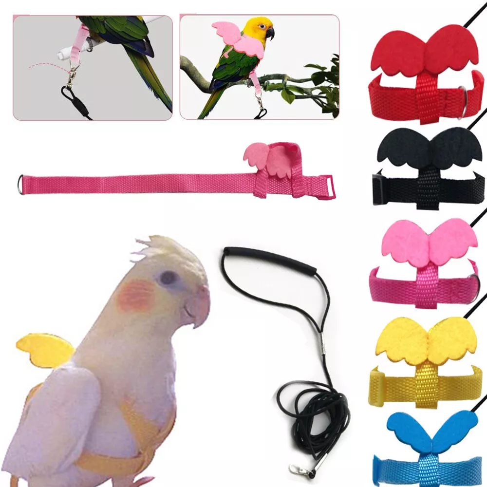 Pet bird store harness and leash