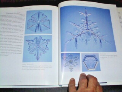 THE SNOWFLAKE : Winter's Secret Beauty | eBay