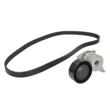 Keilrippenriemensatz Schaeffler INA 529 0262 10