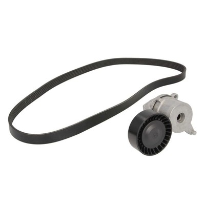 Keilrippenriemensatz Schaeffler INA 529 0262 10