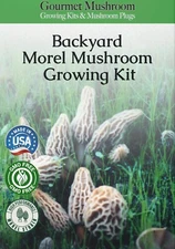 Morel Mushroom Grow Kit Perfect for Creating a Mushroom Garden In Your Backyard