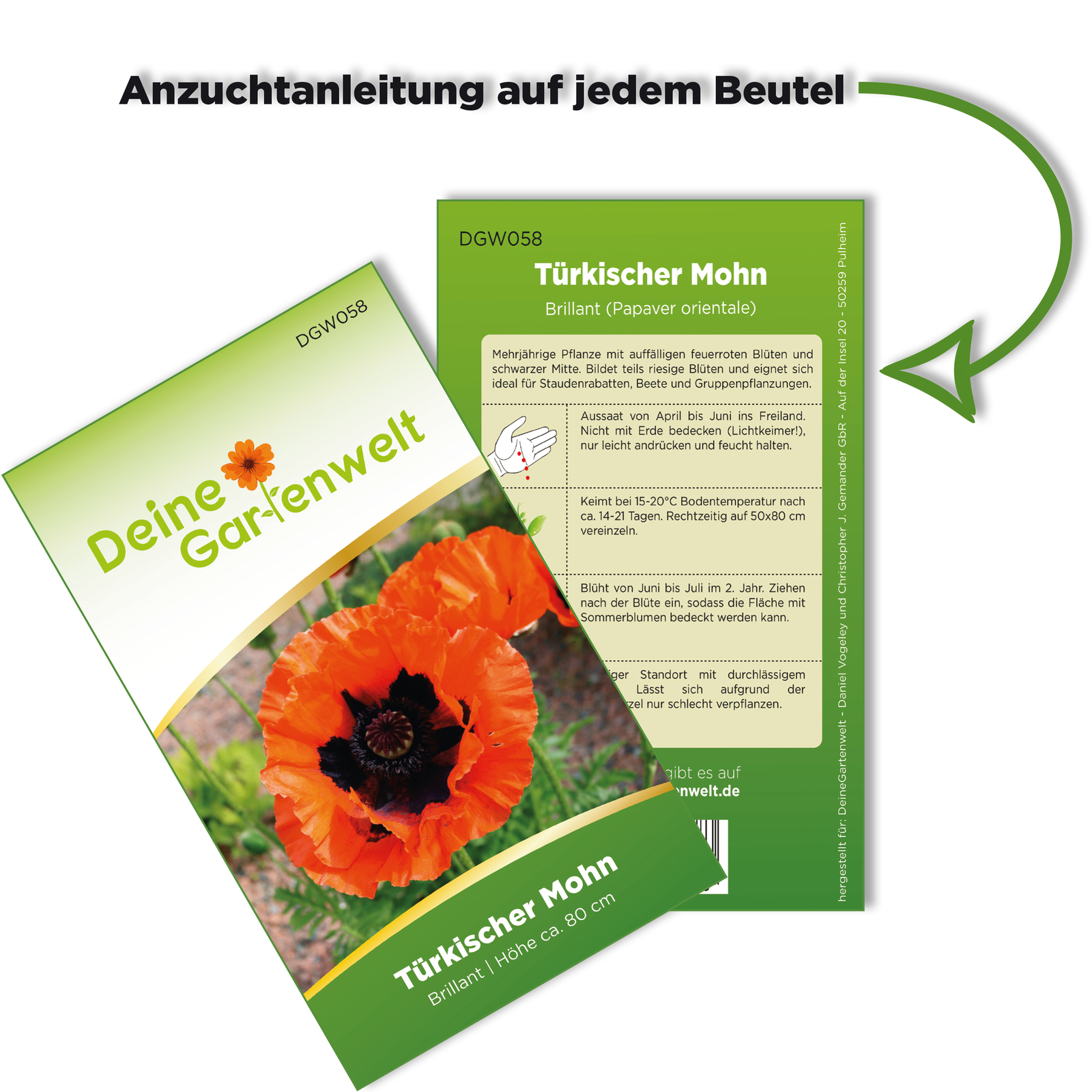Bild 3 von 6