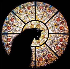 Black Cat Wooden Jigsaw Puzzle Best Gift 