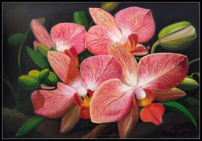 Red Orchids - DIY Chart Counted Cross Stitch Patterns Needlework 14 ct Aida  