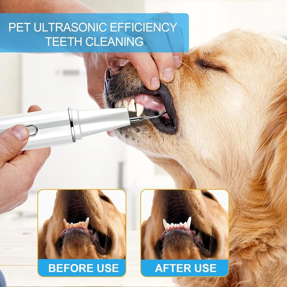 Juego de cepillo de dientes limpiador de dientes ultrasónico removedor de placa para perros mascotas Foto 4 de 4