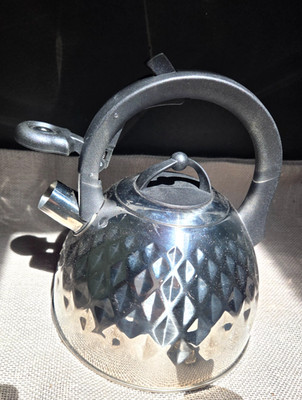 Stainless Steel 9 Cup Tea Kettle