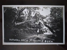 RPPC - Natural Arch, Eshowe Bush, South Africa - Early 1900s, Rough Edges