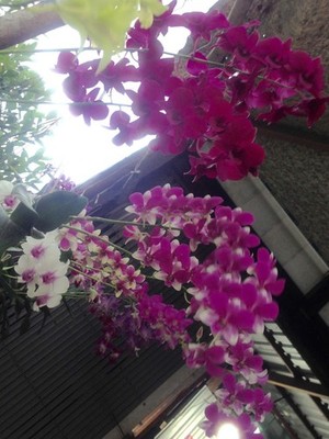 SAR Digital image | picture photo wallpaper background... Digital image