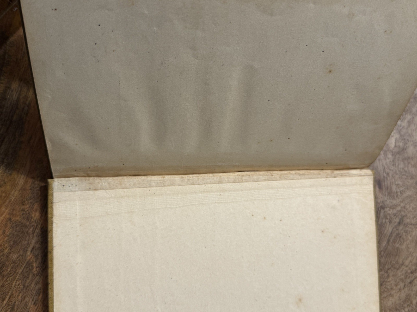 Picture 9 of 9