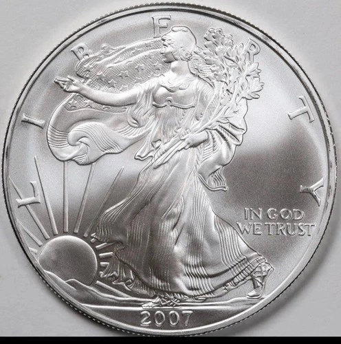 2007-W American Silver Eagle 1oz $1 Coin Mint Encapsulated Perfect Uncirculated