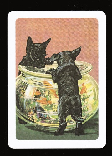 1 WIDE SWAP PLAYING CARD EVER SO CUTE  ~ SCOTTIE TERRIER PUPPY DOGS & GOLDFISH