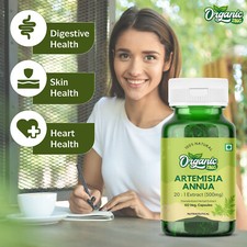 Bio De Artemisia Annua 20 : 1 Extrait Capsules Artémisinine Pour Intestinale