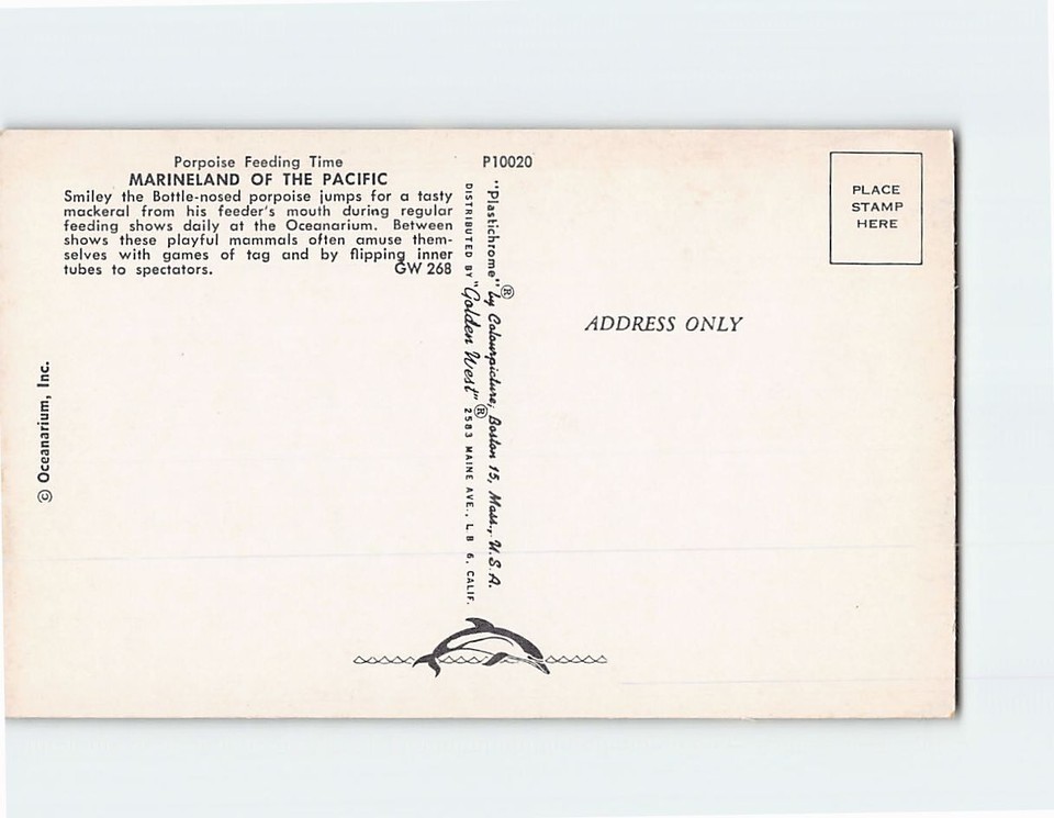 Postcard Porpoise Feeding Time Marineland of the Pacific Oceanarium
