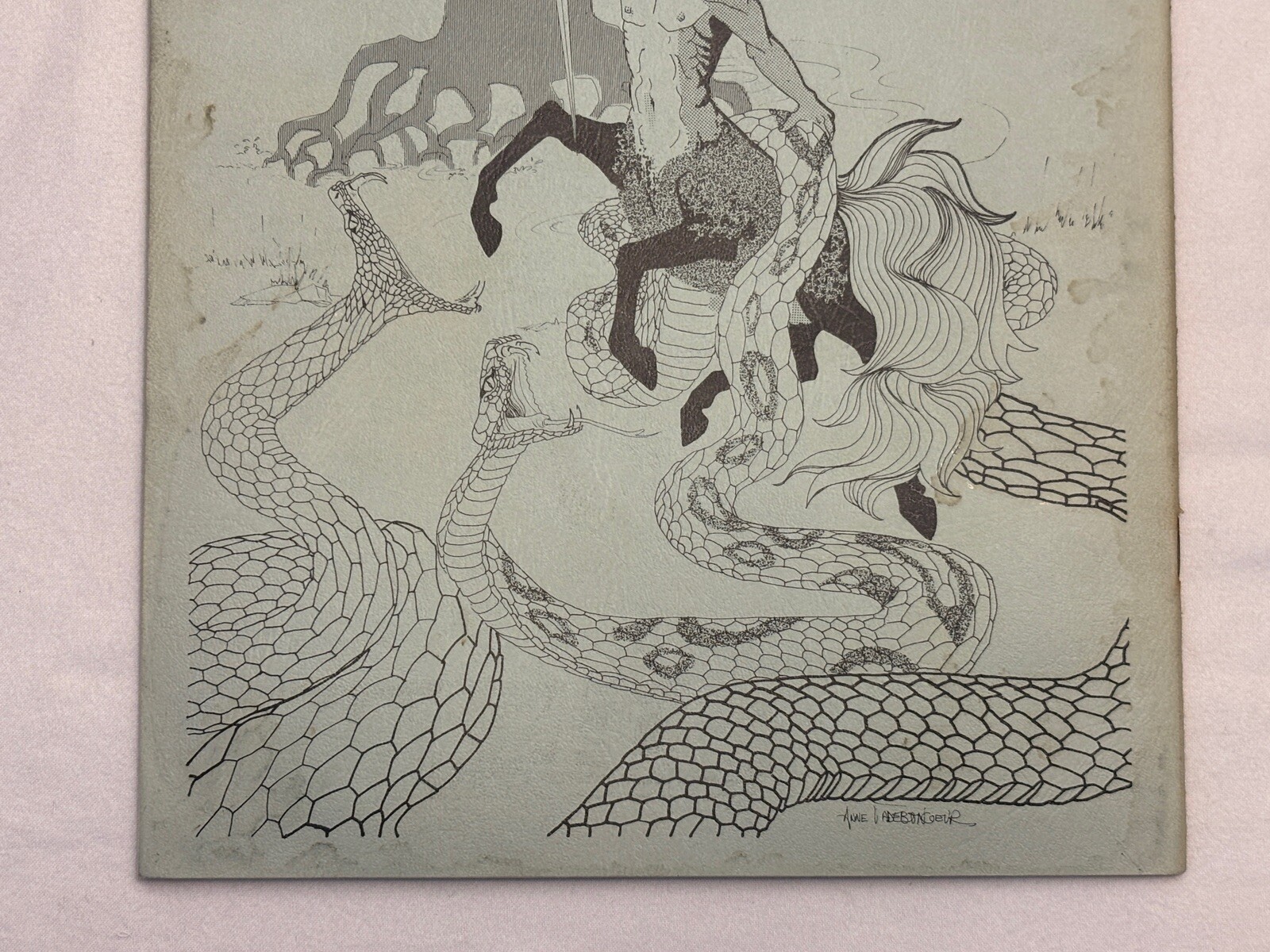 Picture 8 of 8