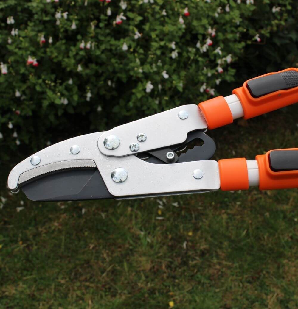 Telescopic Anvil Lopper Cutting Capacity Cut and Hold - Image 2