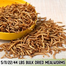 11-44lbs Bulk Dried Mealworms Non-GMO for Wild Birds Chickens Hen Meal Treats