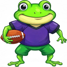 30 Custom Fun Football Frog Personalized Address Labels