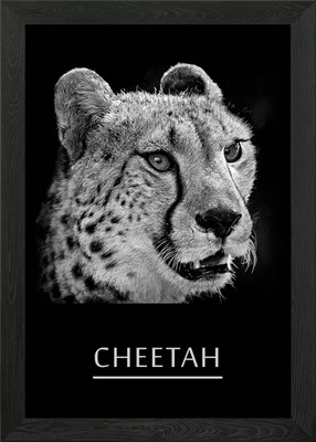 Gepard gerahmtes Wandbild Poster Leinwanddruck Bild