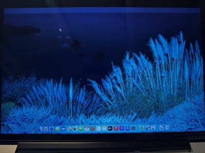   MacBook Pro 13  Retina (Ende 2014) A1502 Bildschirm kleiner defekt 