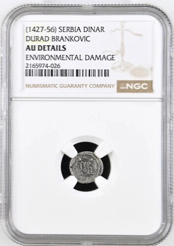 1427 - 1456 Serbia Dinar, Durad Brankovic, NGC AU Details-Damage