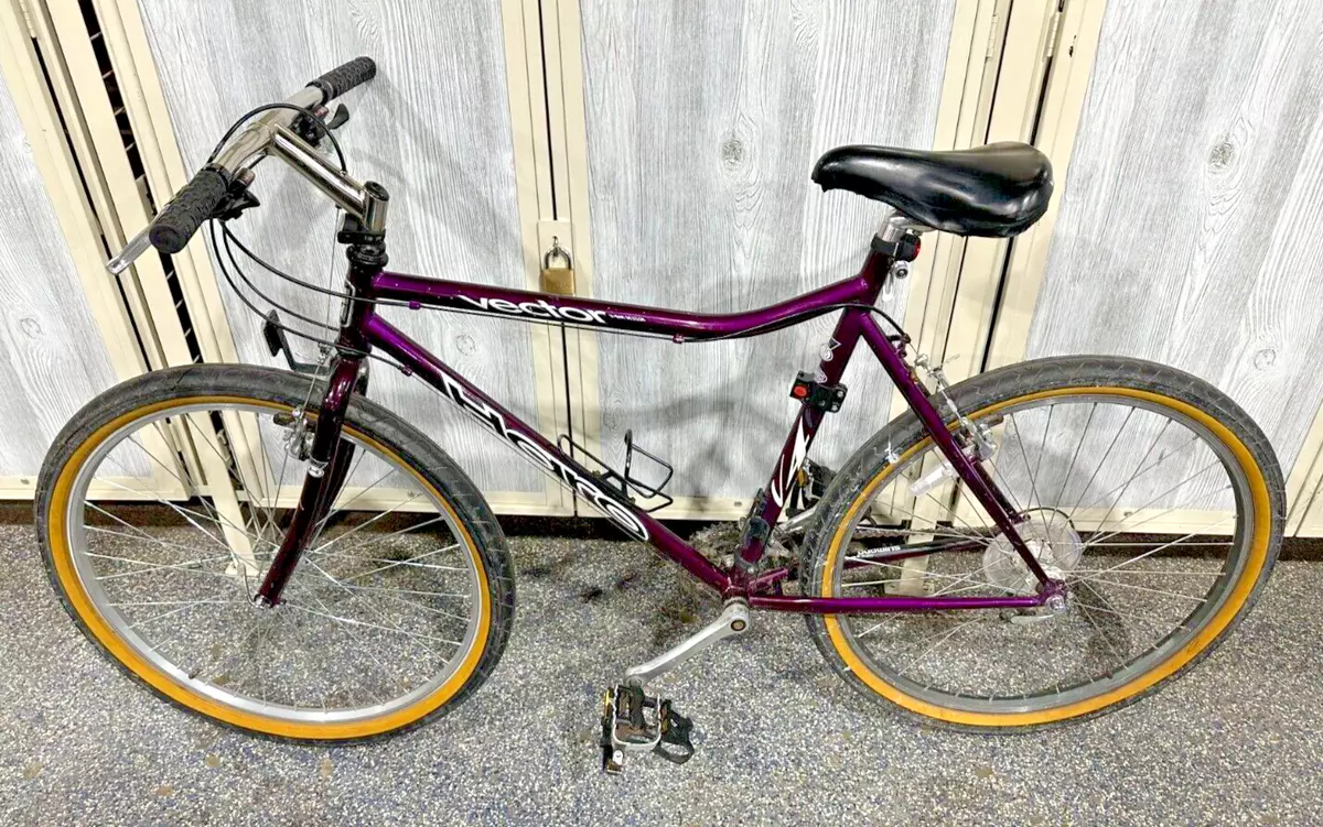 Vector clearance haro bike