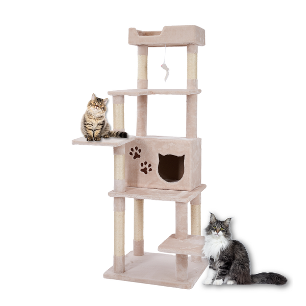 Kratzbaum Ginny 155 Cm Katzenbaum Katzenkratzbaum Kletterbaum FüR Katzen Sisal-image